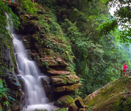 碧峰峽、上里古鎮(zhèn)二日游