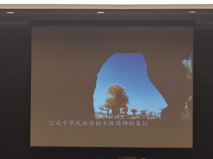 綿陽(yáng)中旅行假日旅行社舉行胡楊林、南疆專(zhuān)列推薦會(huì)