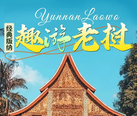 【趣游老撾 · 經(jīng)典版納】—昆明、普洱、西雙版納、磨丁、瑯勃拉邦四動8日游